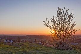 Sonnenaufgang bei Gleiszellen mit Dionysius-Kapelle, Foto von Michael Dhonau, Impflingen